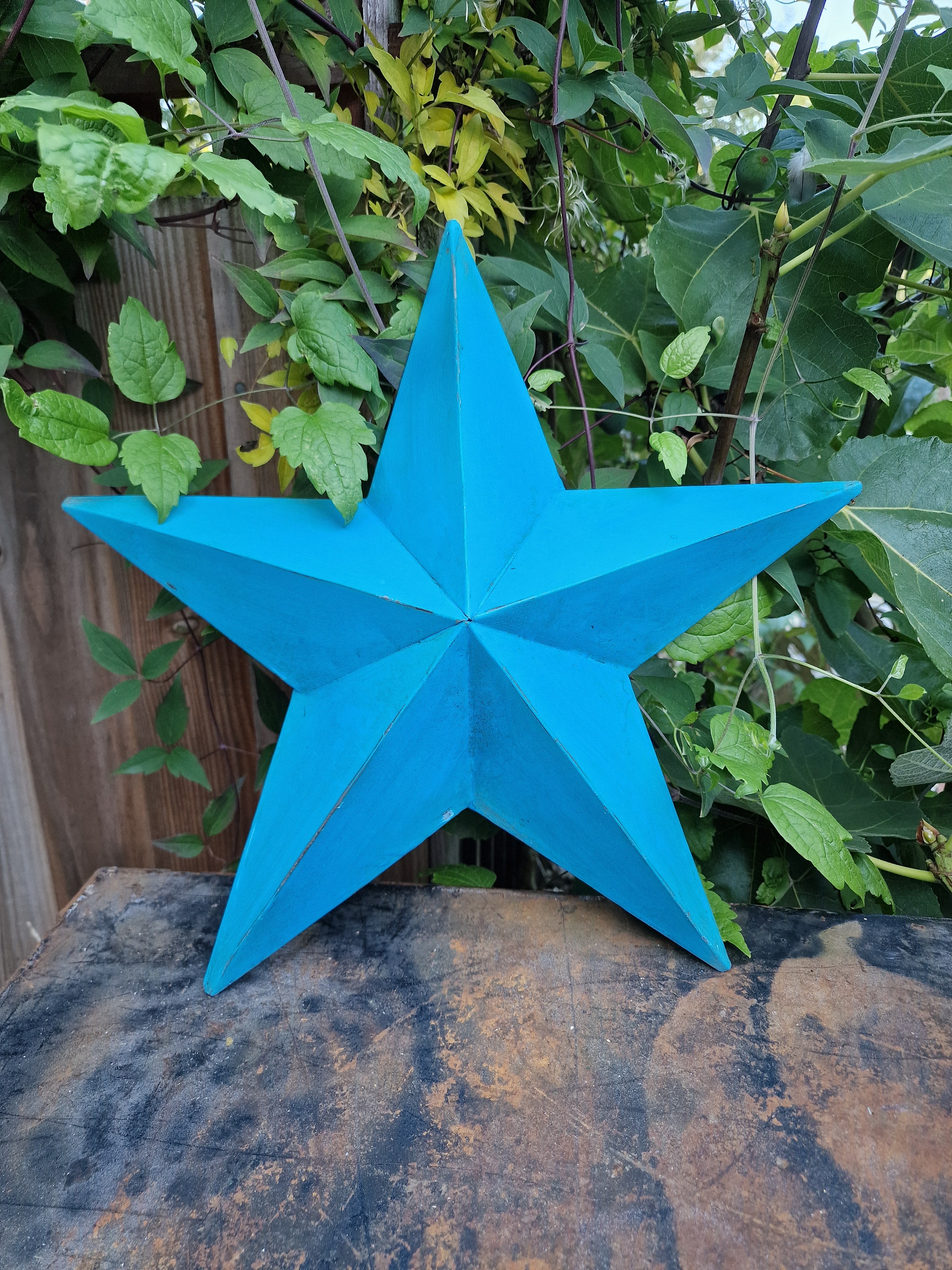 Blue barn Star