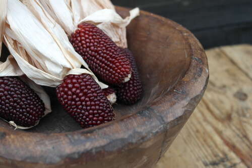 French hand carved wooden bowl