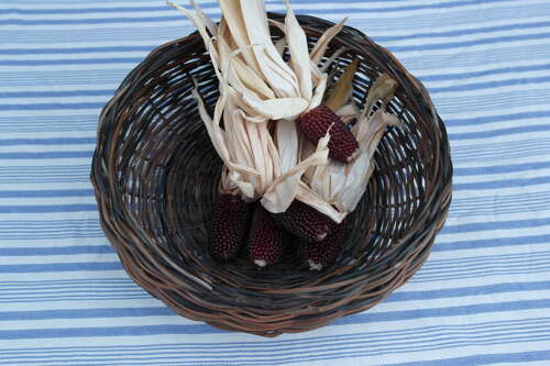Handmade willow bowl