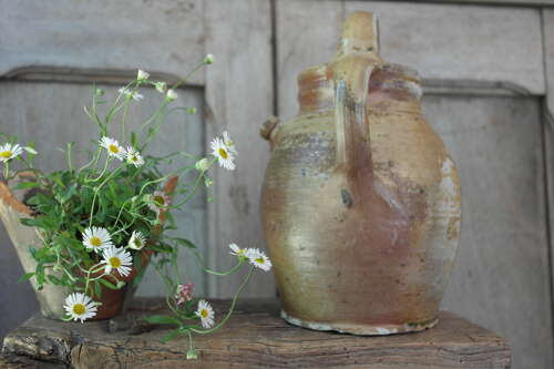 Antique French Gargoulette