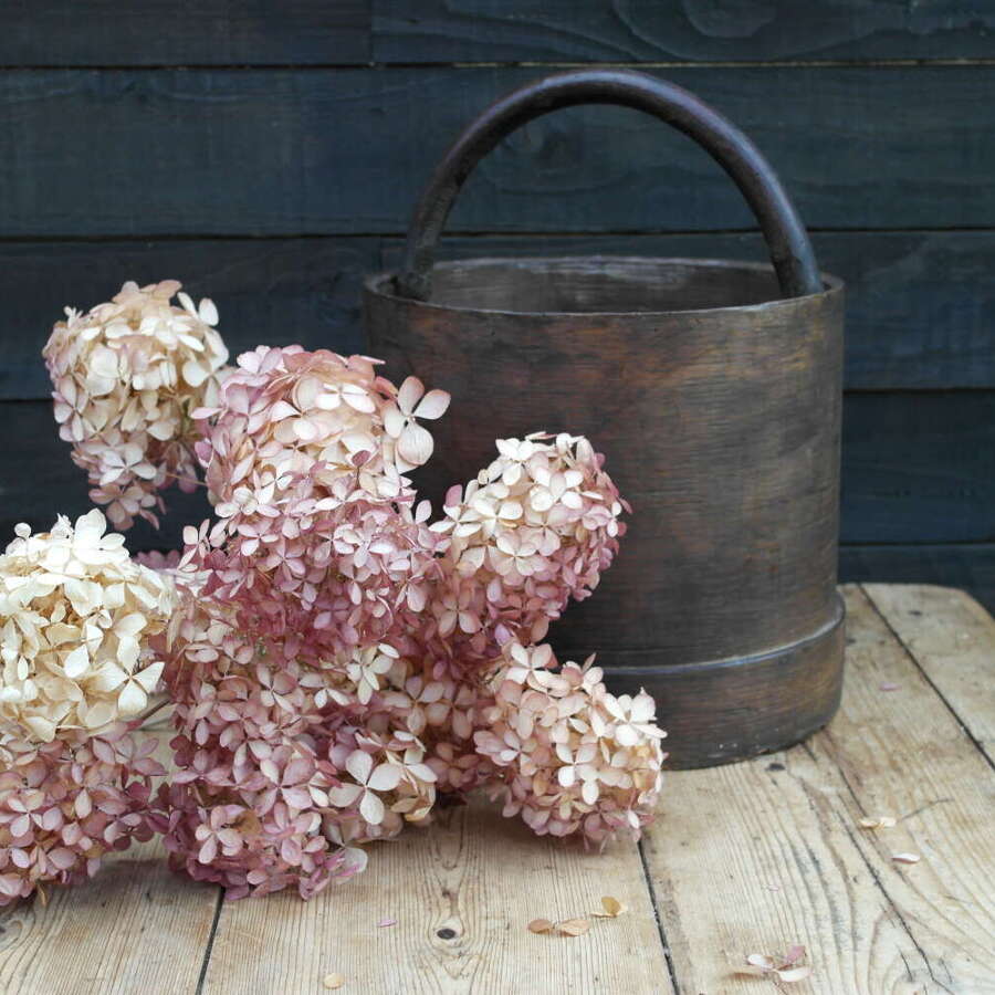French antique bentwood pail with natural branch handle