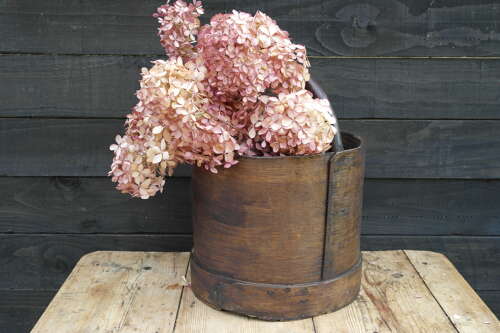 French antique bentwood pail with natural branch handle