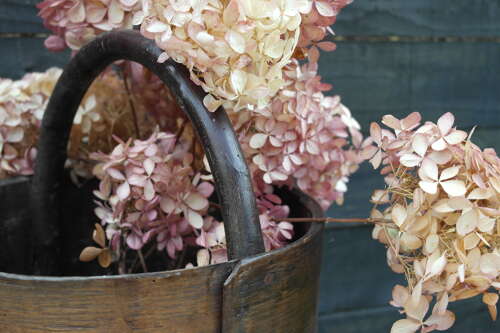 French antique bentwood pail with natural branch handle