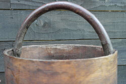 French antique bentwood pail with natural branch handle