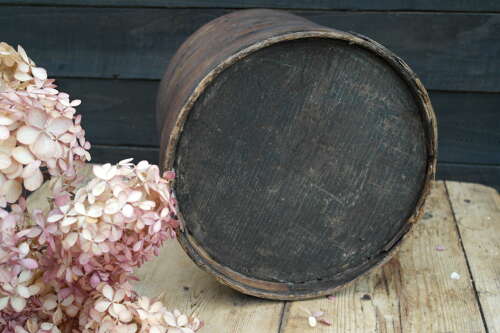 French antique bentwood pail with natural branch handle