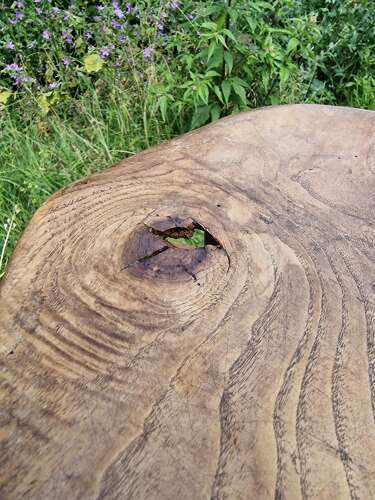 Milking stool
