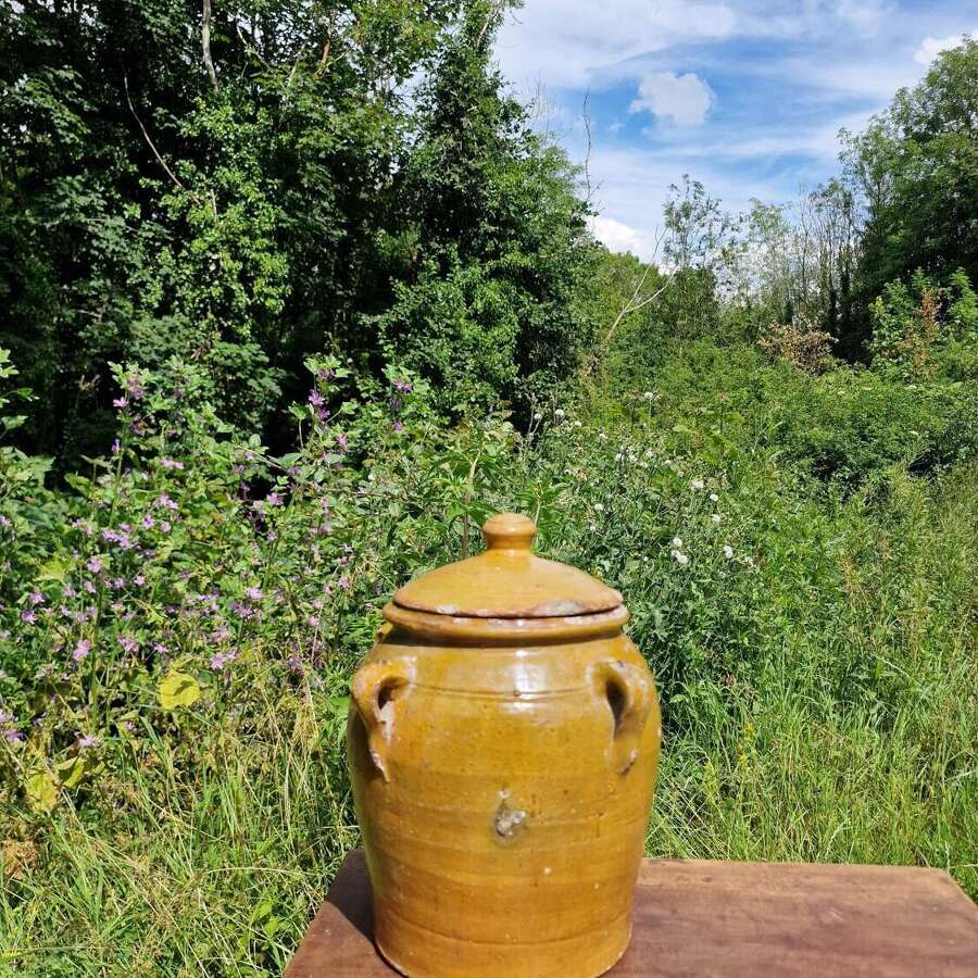 Spanish olive pot with lid