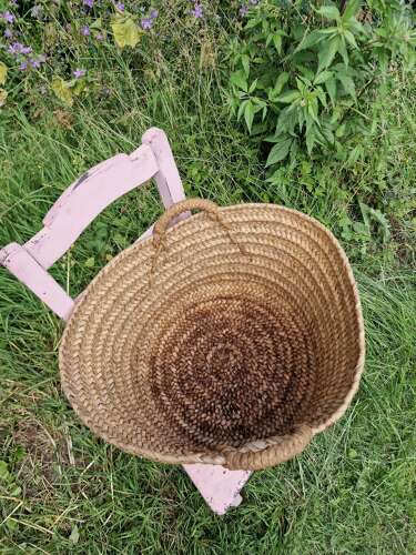 Spanish olive basket